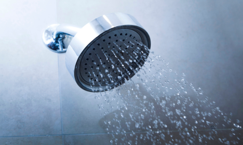 Descale shower head